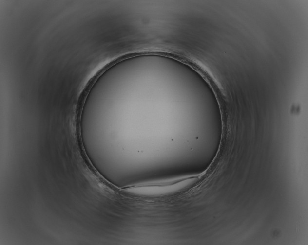 X0000095521460200801041212