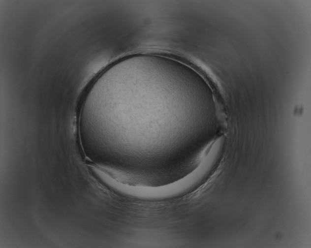 X0000095521461200801041212