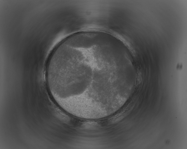 X0000095521462200801041212