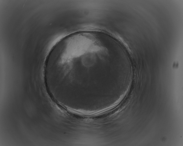 X0000095521463200801041212