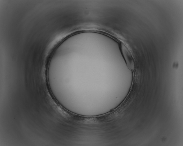 X0000095521464200801041212