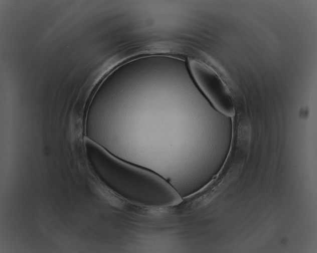 X0000095521465200801041212