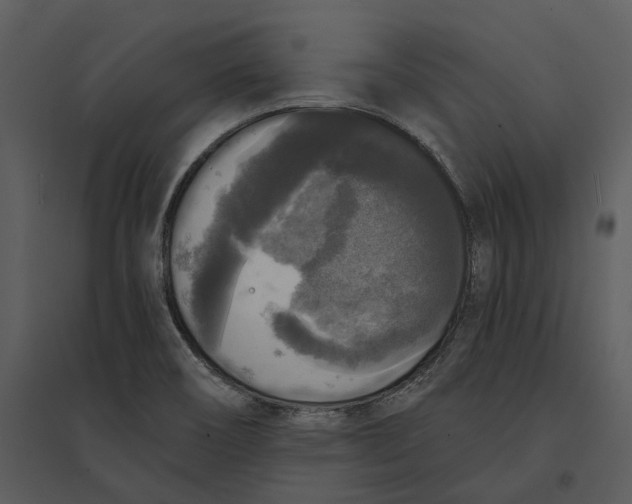 X0000095521466200801041212