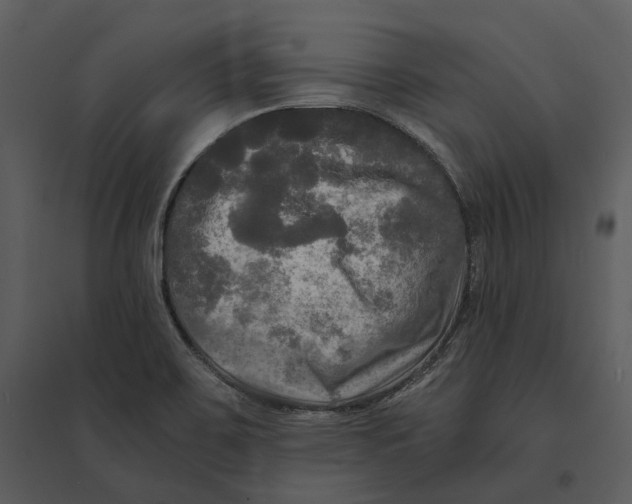 X0000095521467200801041212