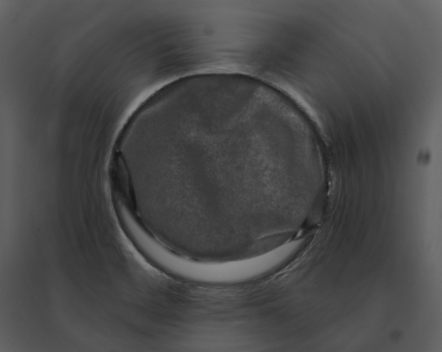 X0000095521468200801041212