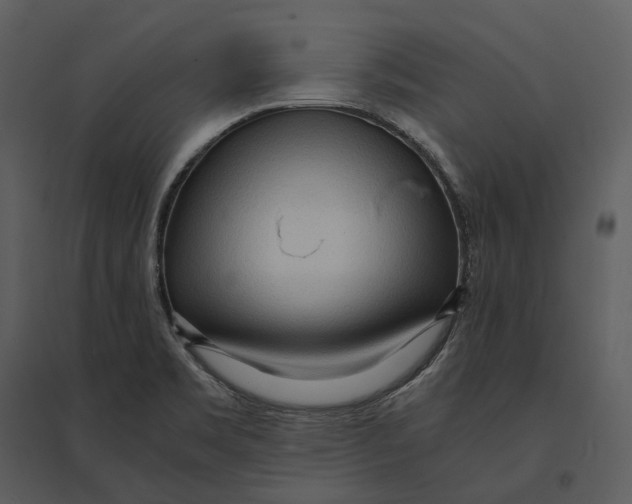 X0000095521469200801041212