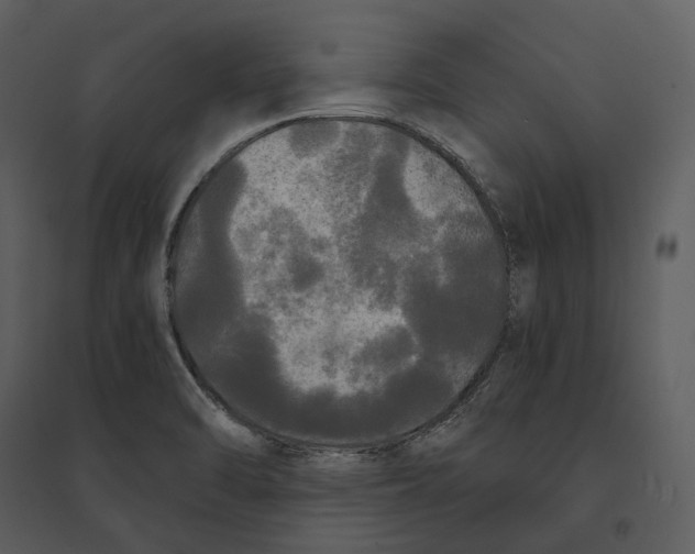 X0000095521470200801041212