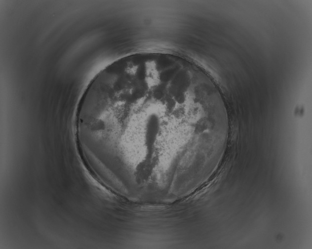 X0000095521471200801041212