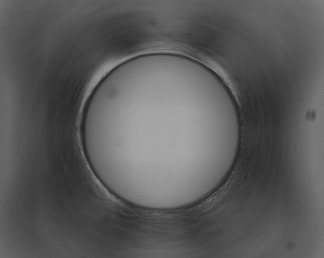 X0000095521472200801041212