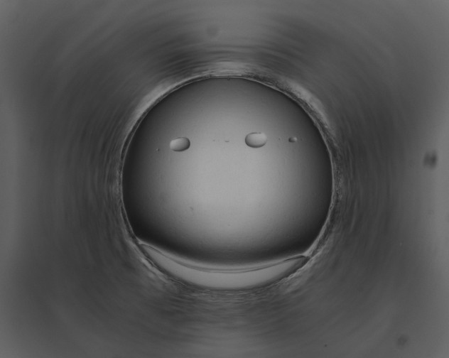 X0000095521473200801041212