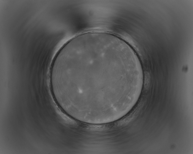 X0000095521474200801041212