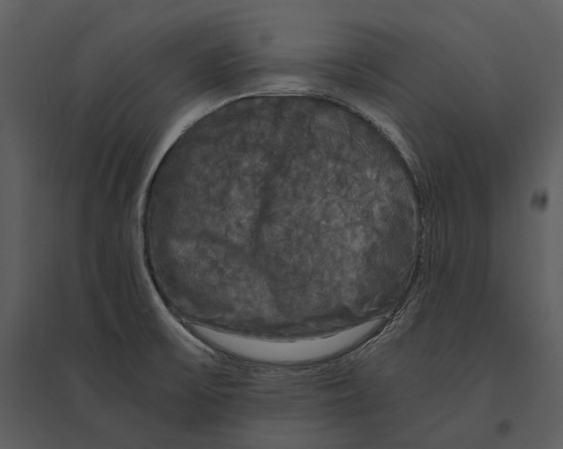 X0000095521475200801041212