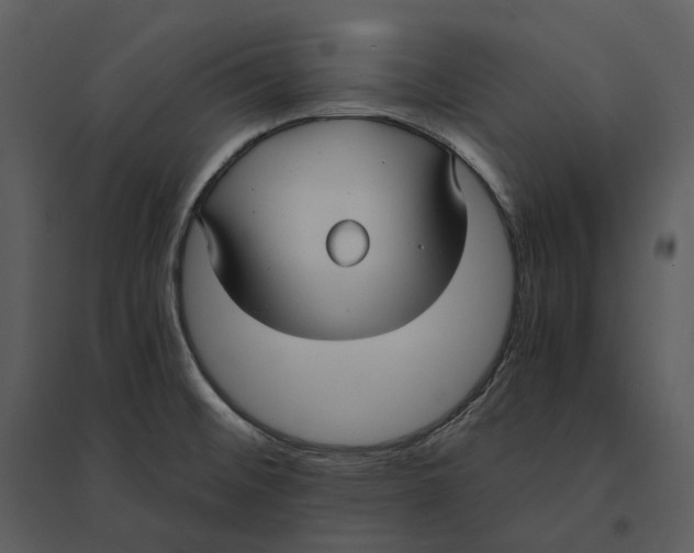 X0000095521476200801041212