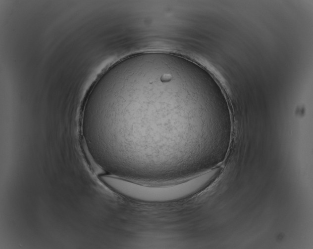 X0000095521477200801041212