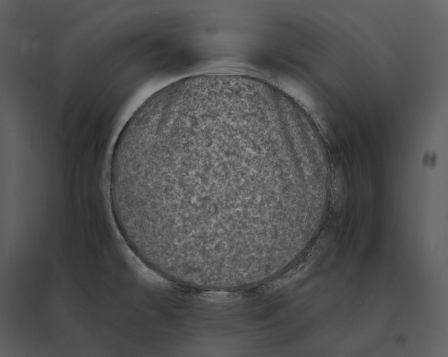 X0000095521478200801041212