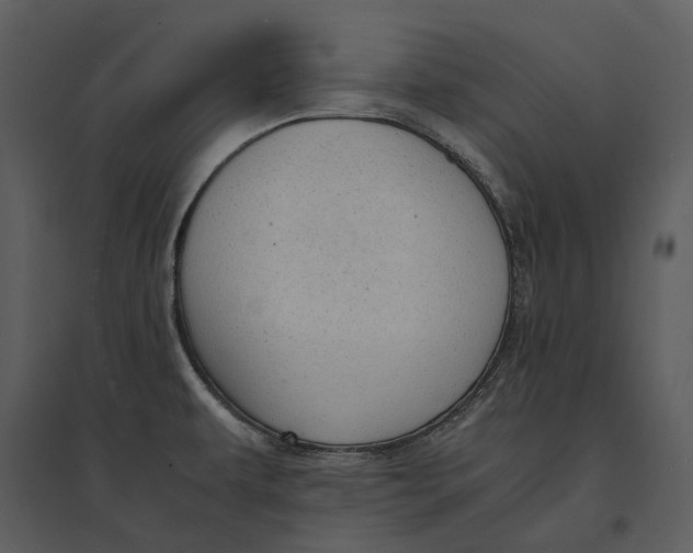 X0000095521479200801041212