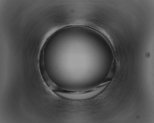 X0000095521480200801041212