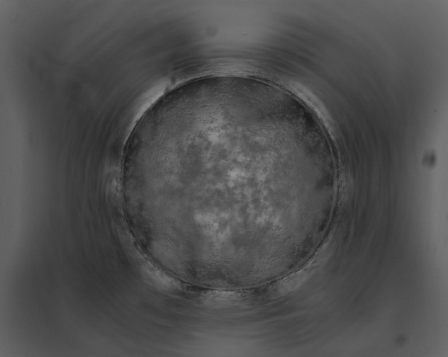 X0000095521481200801041212