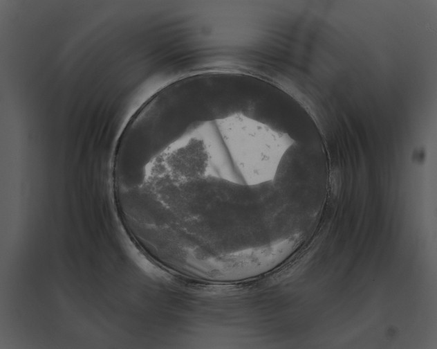 X0000095521482200801041212