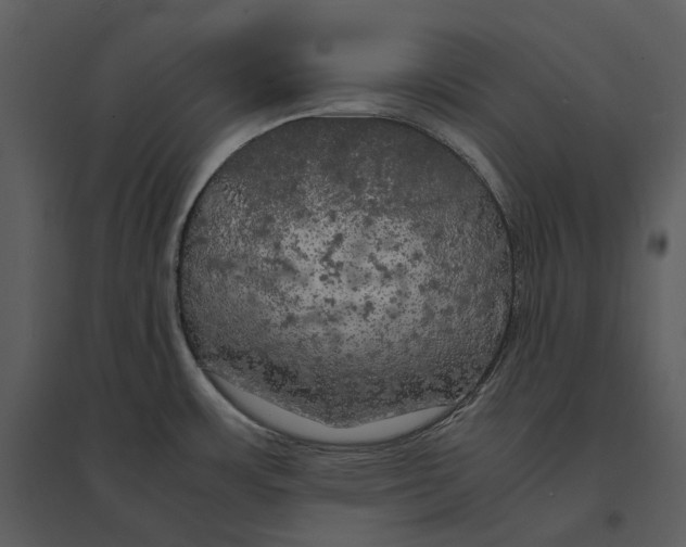 X0000095521483200801041212