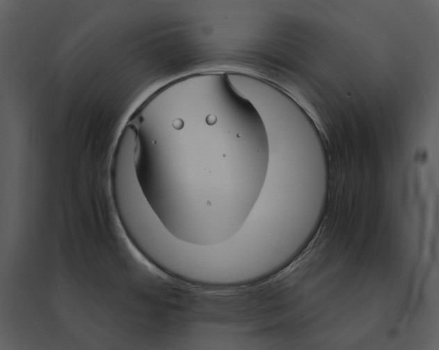 X0000095521484200801041212