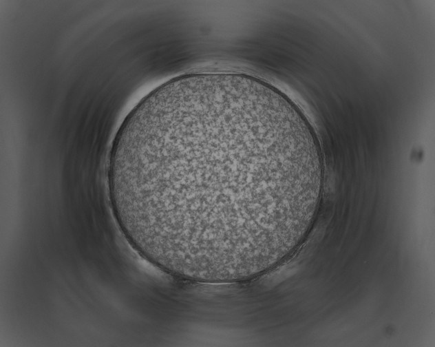 X0000095521486200801041212