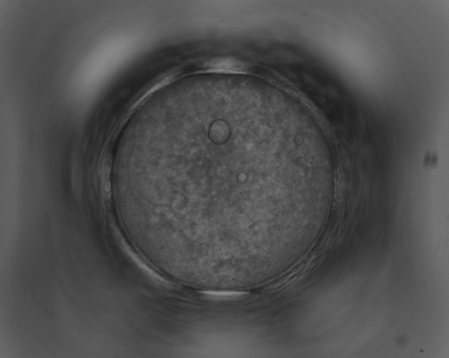 X0000095521487200801041211