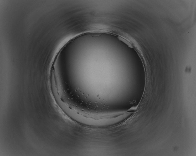 X0000095521488200801041211