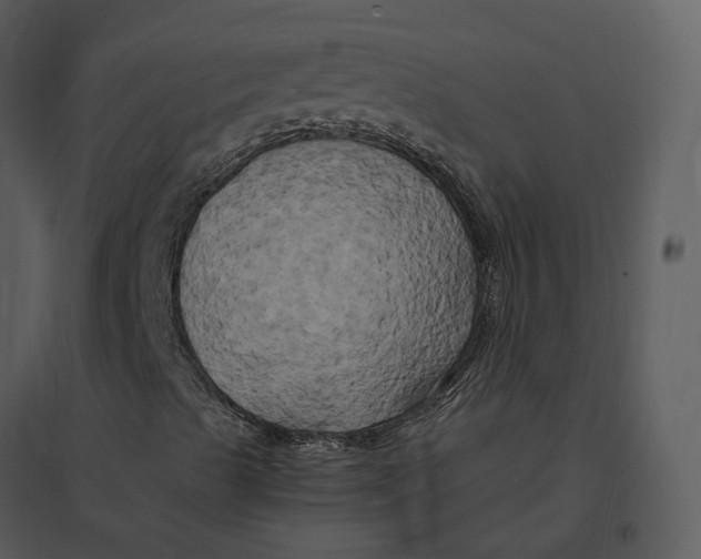 X0000095521489200801041211