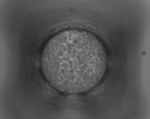 X0000095521490200801041211