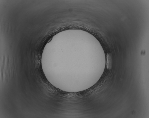 X0000095521491200801041211