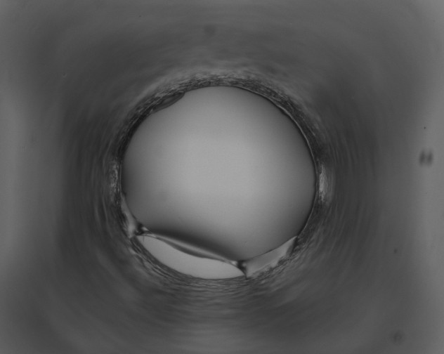 X0000095521492200801041211