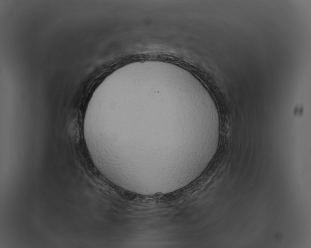 X0000095521493200801041211