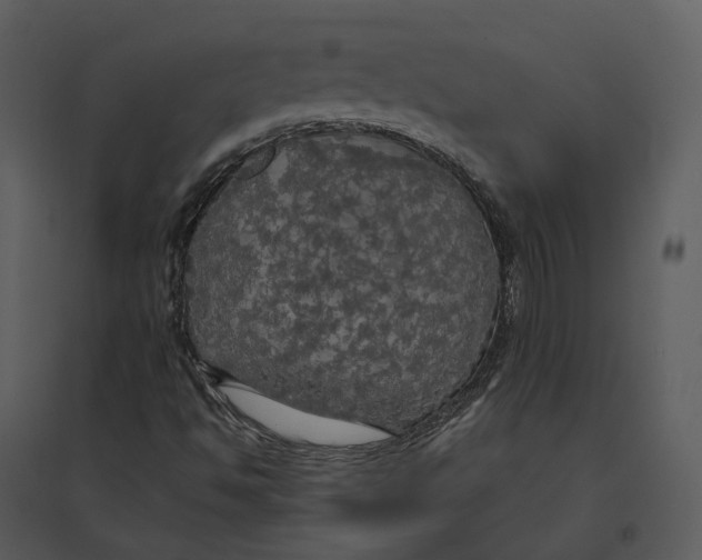 X0000095521494200801041211