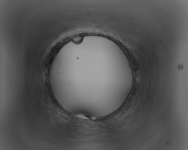 X0000095521495200801041211