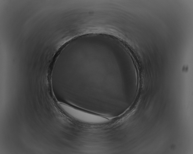 X0000095521497200801041211