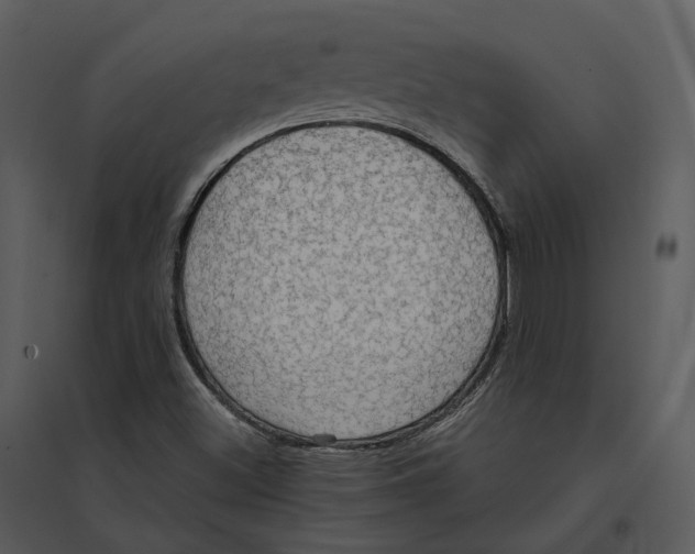 X0000095521500200801041211