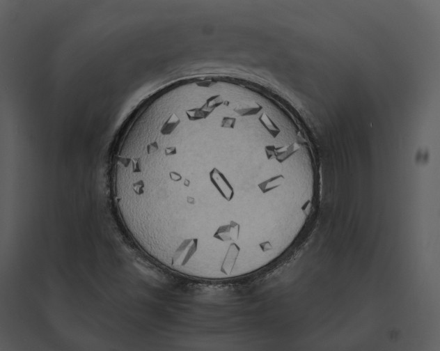 X0000095521501200801041211