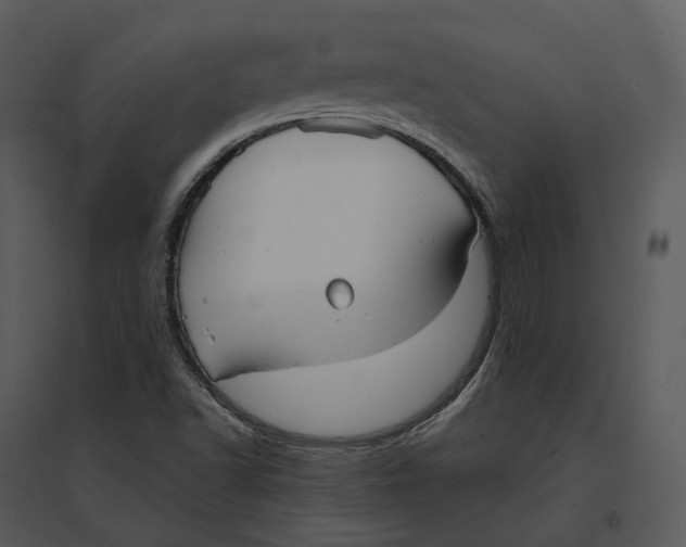 X0000095521502200801041211