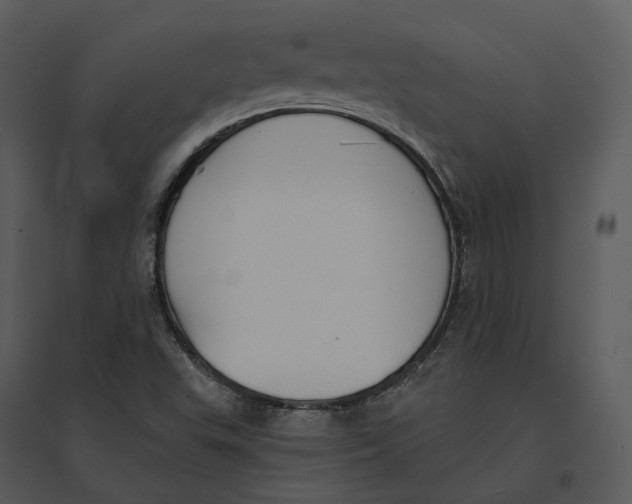 X0000095521503200801041211