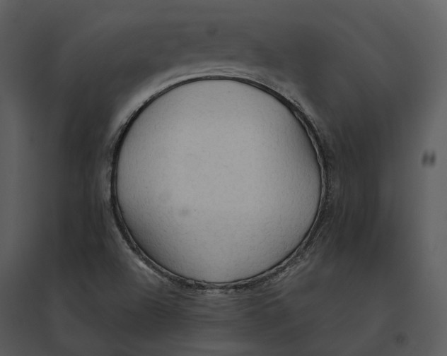 X0000095521504200801041211