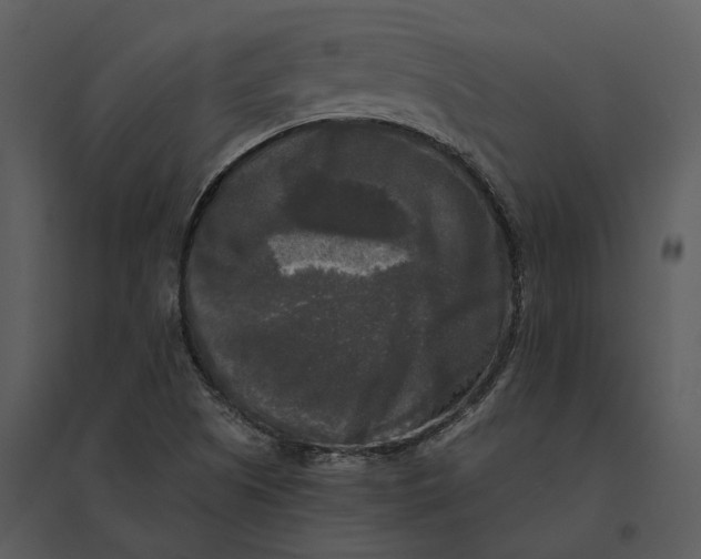 X0000095521505200801041211