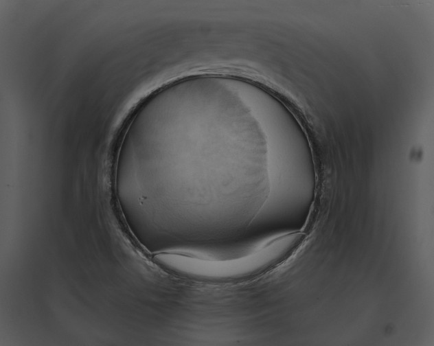 X0000095521506200801041211