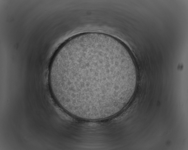 X0000095521507200801041211