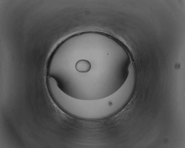 X0000095521508200801041211