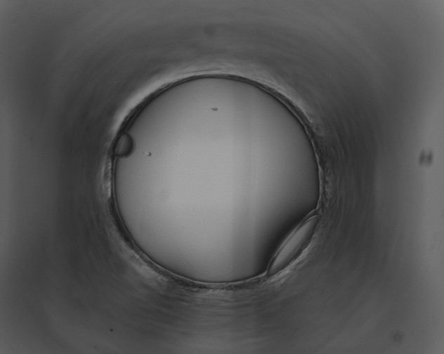 X0000095521510200801041211