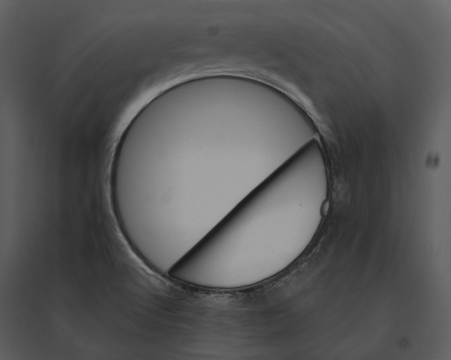 X0000095521512200801041211