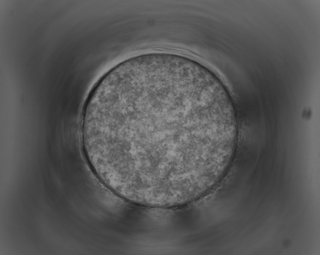 X0000095521514200801041211