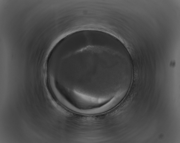 X0000095521515200801041211