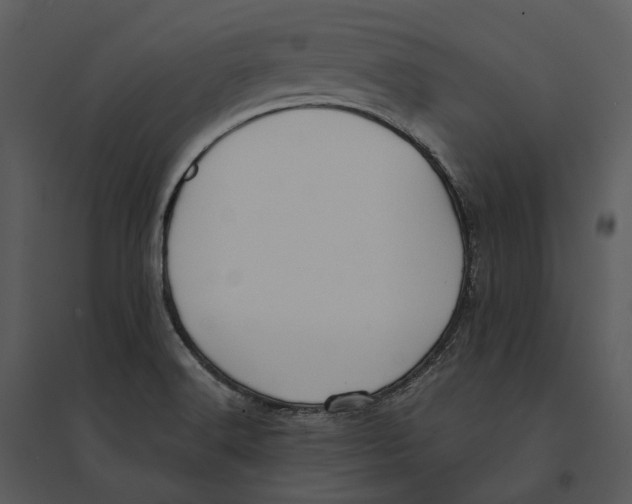 X0000095521516200801041211